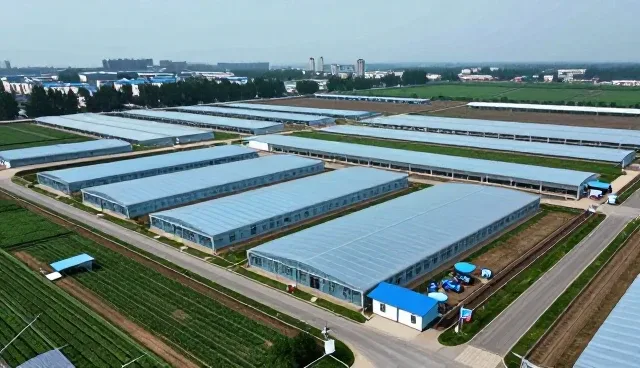 智慧养老平台使用中的关键考量因素